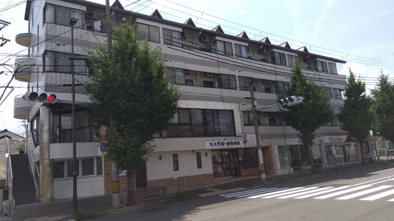 グランドールトキ