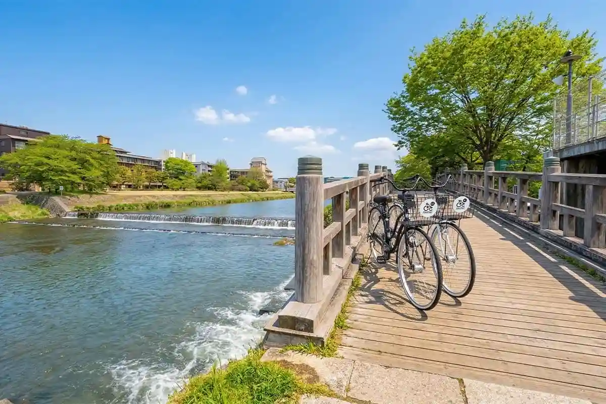 レンタル自転車で楽しむ京都の鴨川沿いサイクリング