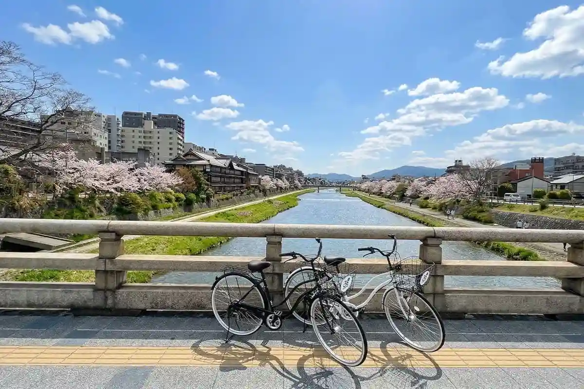 鴨川沿いをレンタル自転車で観光する方におすすめします