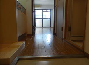 SHICATA SEPT BLDG 